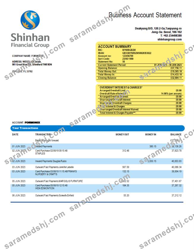 Shinhan Financial Group enterprise statement Word and PDF template